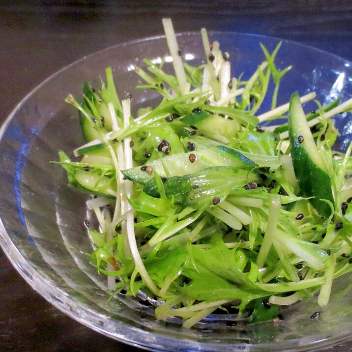 きゅうりと水菜のナムル風サラダ